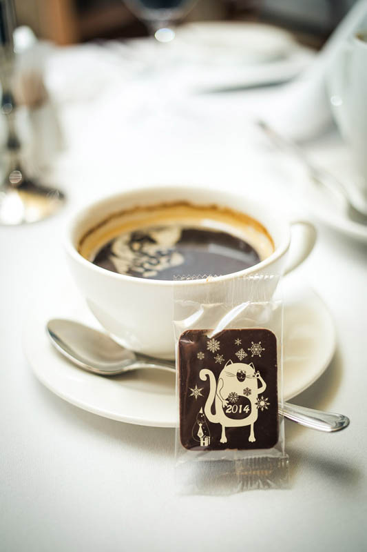 Coffee Chocolates - Cat - Chocolate Bar, 7g