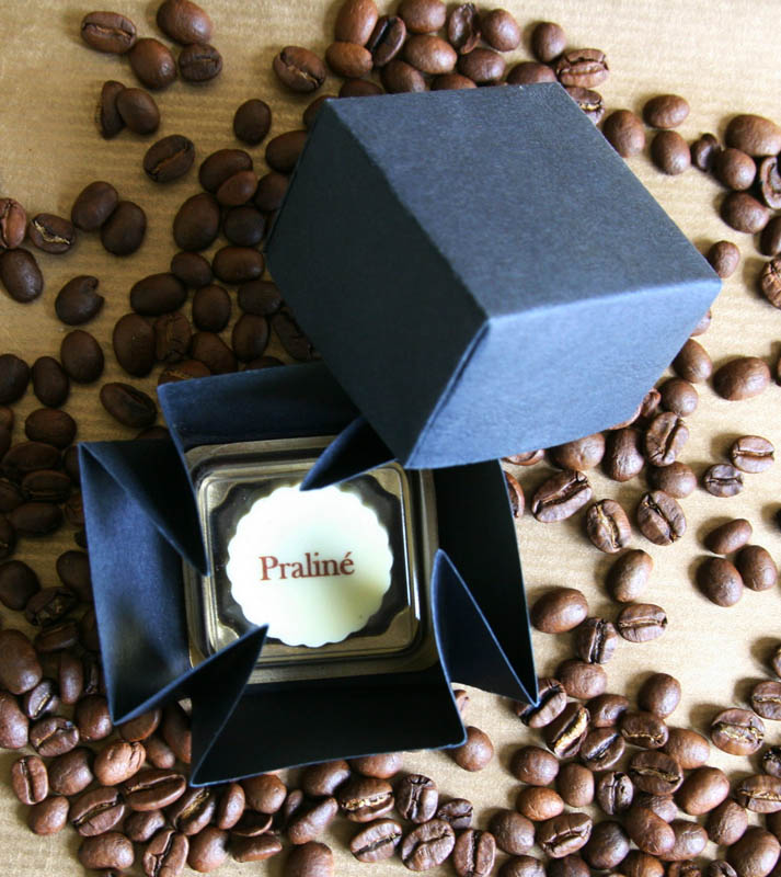 Praline with Hazel Nut Cream Filling in a box, 13g